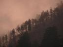 Rain and fog.